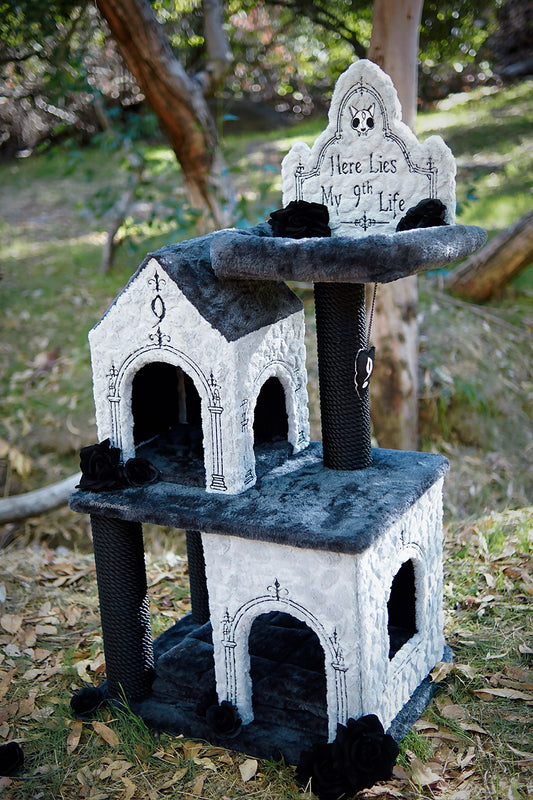 The Catacomb