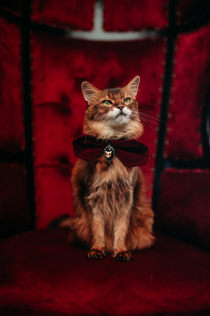 Haunted Herman Collar